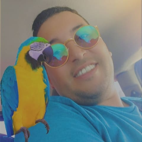 Hamza